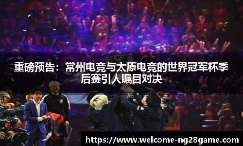 ng南宫28官网