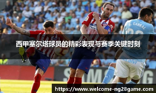 ng南宫28官方网站